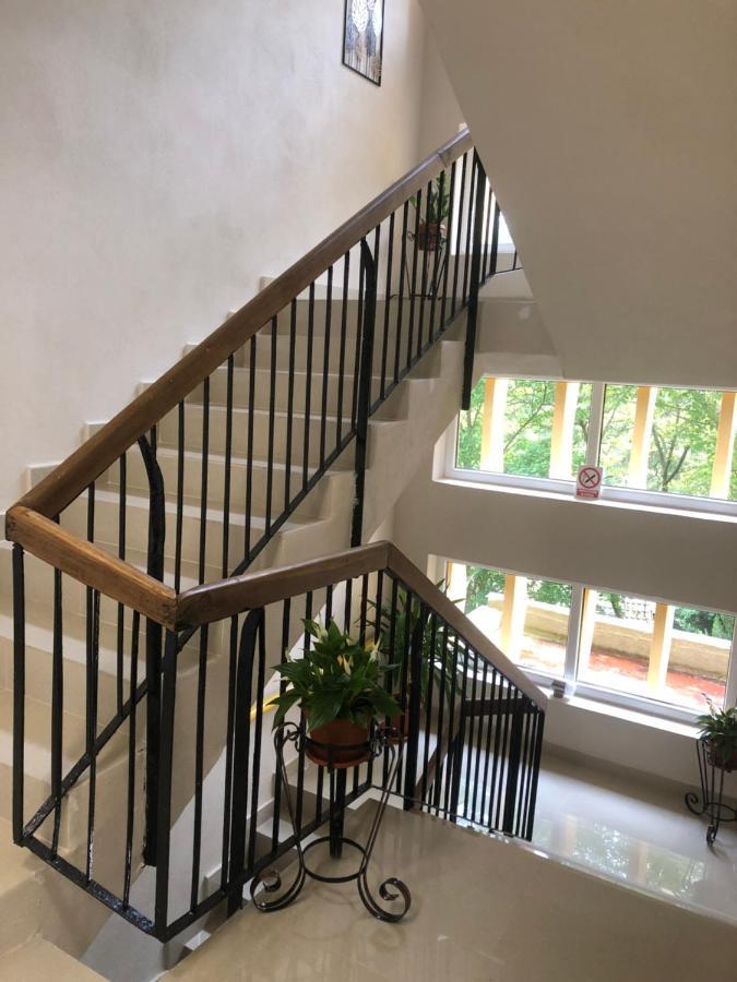 Casa Bocan Geoagiu Băi Esterno foto